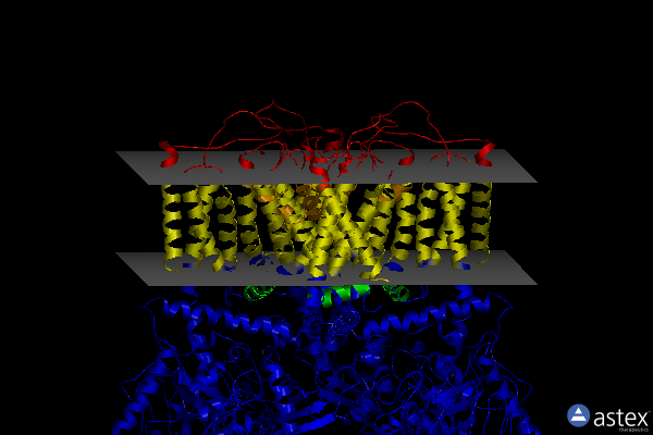 Membrane view of 6d7q