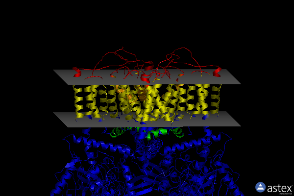 Membrane view of 6d7v
