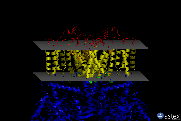 Membrane view of 6d7x