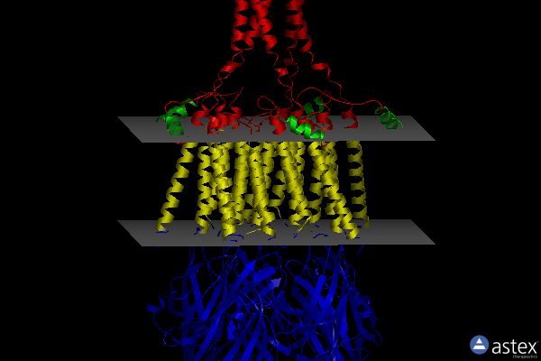 Membrane view of 6dg8