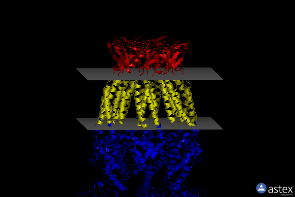 Membrane view of 6djb