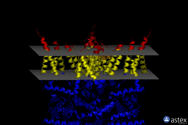 Membrane view of 6djr