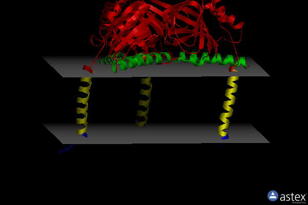 Membrane view of 6dk1