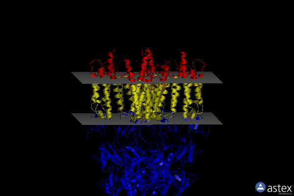 Membrane view of 6dm0