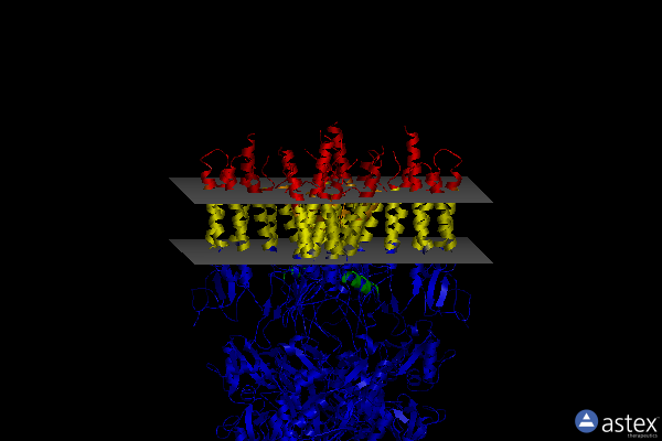 Membrane view of 6dm1