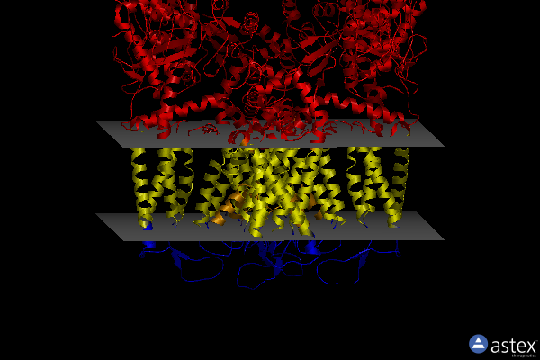 Membrane view of 6dmu