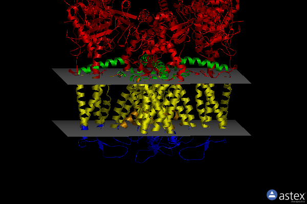 Membrane view of 6dmw