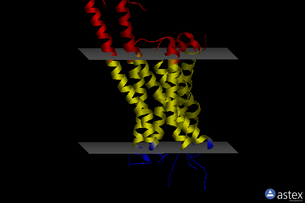 Membrane view of 6drx