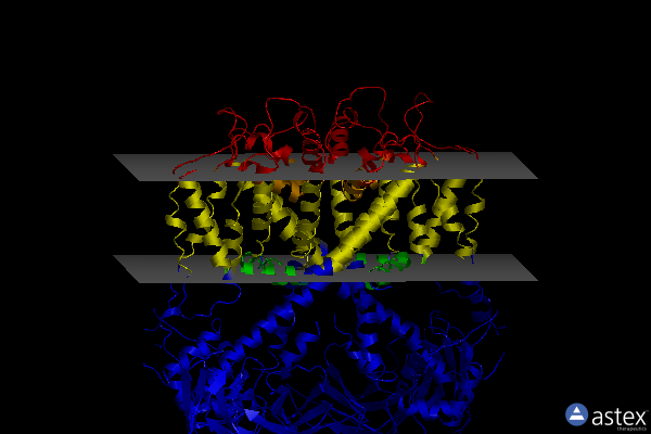 Membrane view of 6e1k