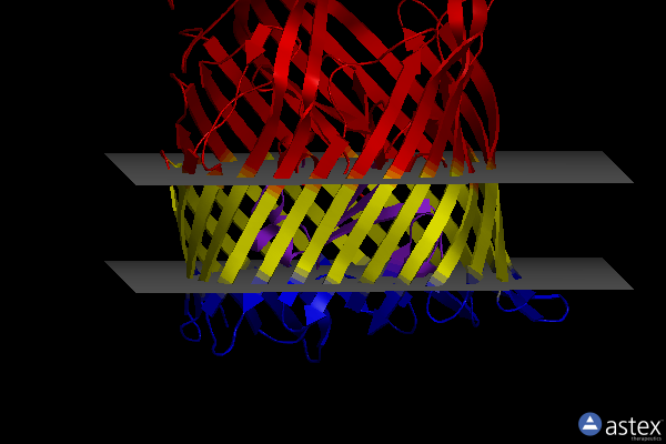 Membrane view of 6e4v