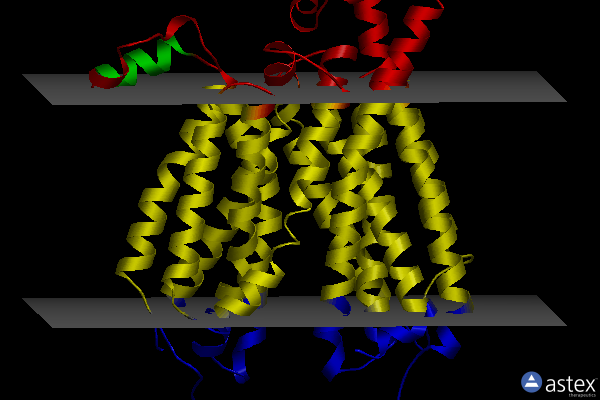 6e8j