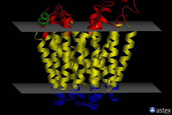 Membrane view of 6e9n