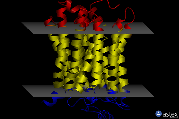 Membrane view of 6e9o
