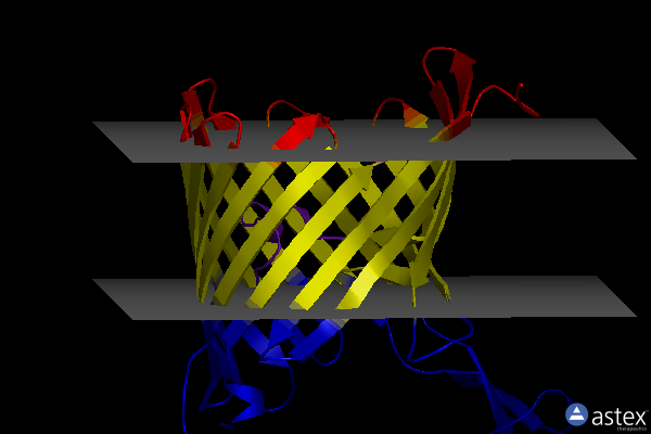 Membrane view of 6ehc