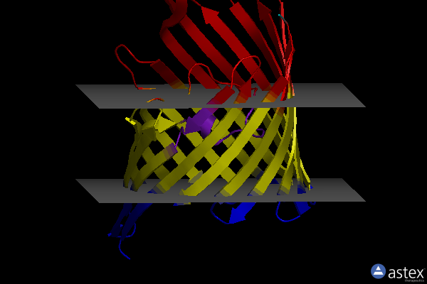 Membrane view of 6ehe