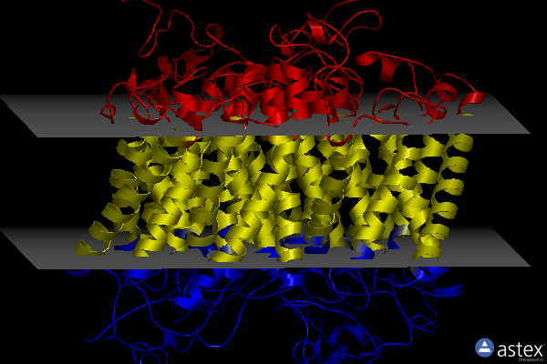 Membrane view of 6ejh