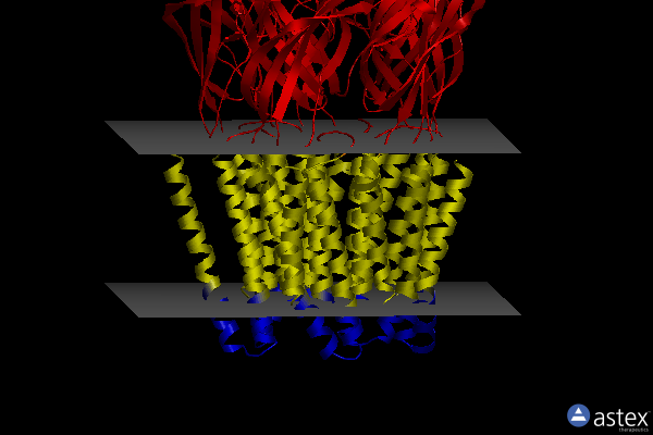 Membrane view of 6emx