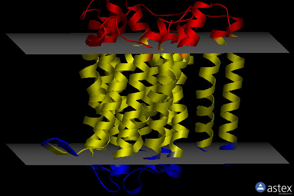 Membrane view of 6exs
