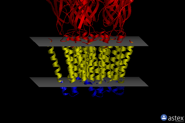 Membrane view of 6f0i