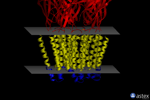 Membrane view of 6f0j