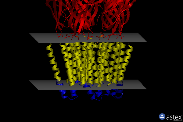 Membrane view of 6f0m
