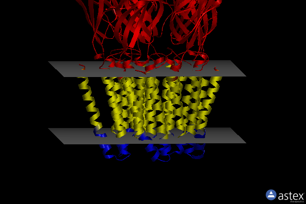 Membrane view of 6f0v