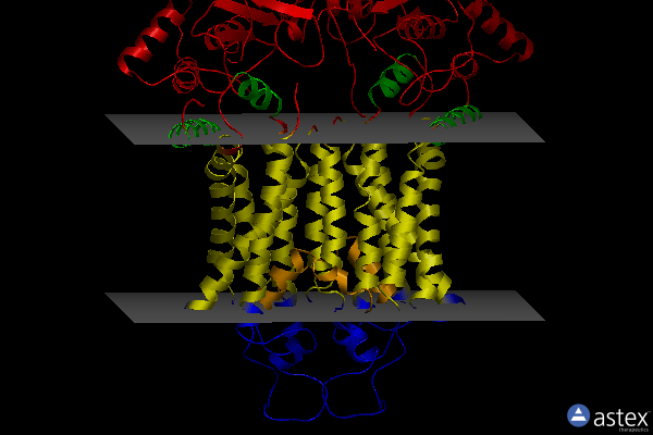 Membrane view of 6feq