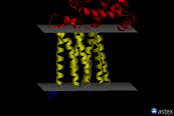 Membrane view of 6ffi