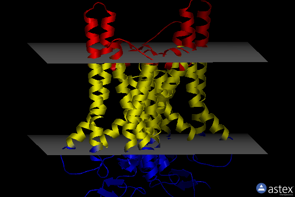 Membrane view of 6fk7