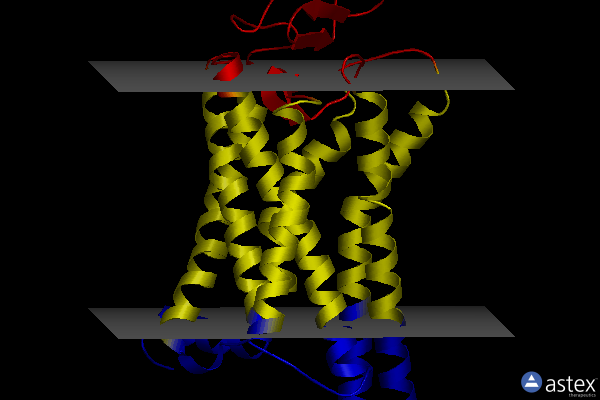 Membrane view of 6fk8