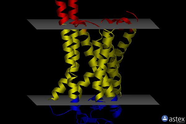 Membrane view of 6fk9