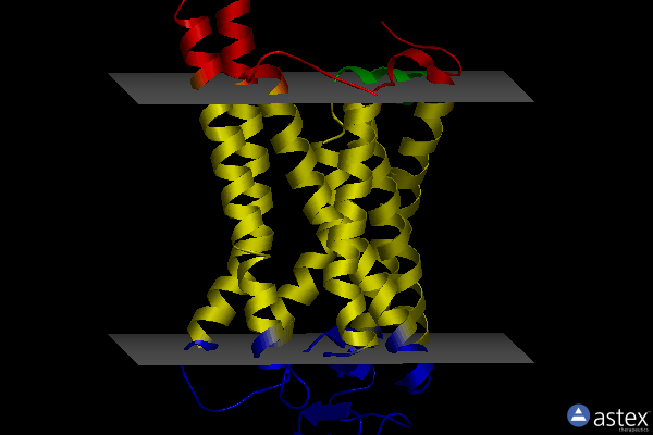 Membrane view of 6fkb