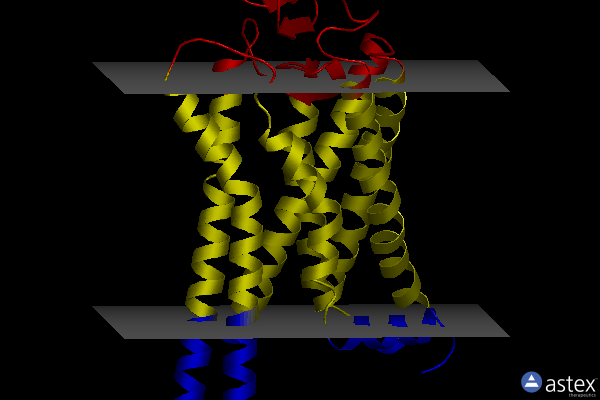 Membrane view of 6fkc