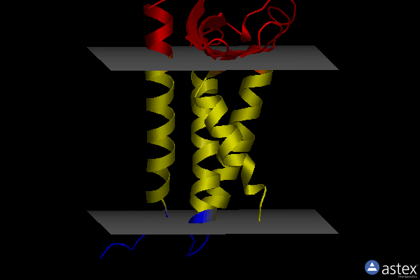 Membrane view of 6fms