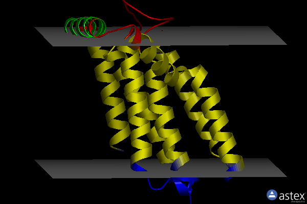 Membrane view of 6fmx