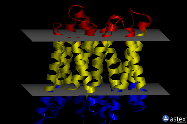 Membrane view of 6fmy