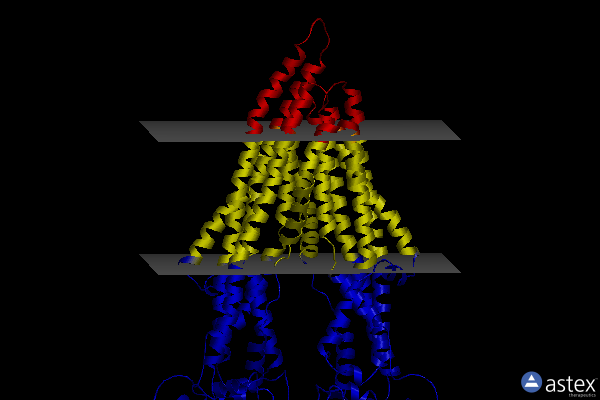 Membrane view of 6fn1