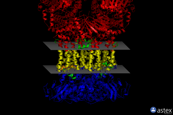 Membrane view of 6fo0