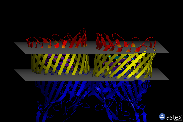 Membrane view of 6fok