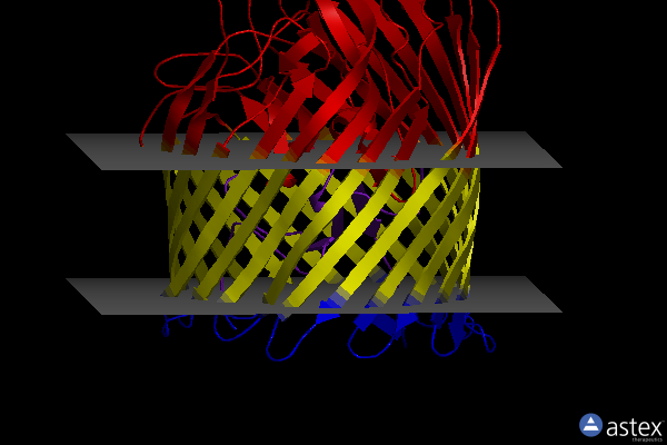 Membrane view of 6fom
