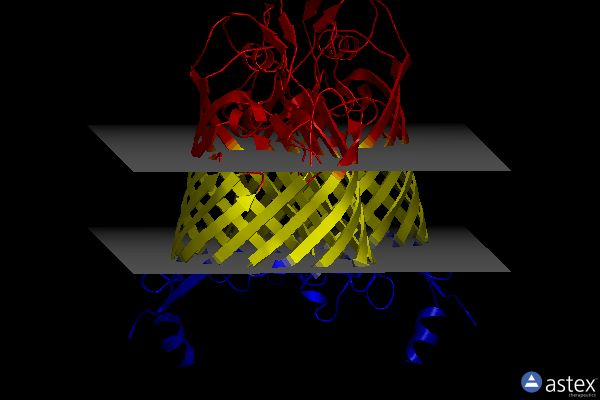 Membrane view of 6fsu
