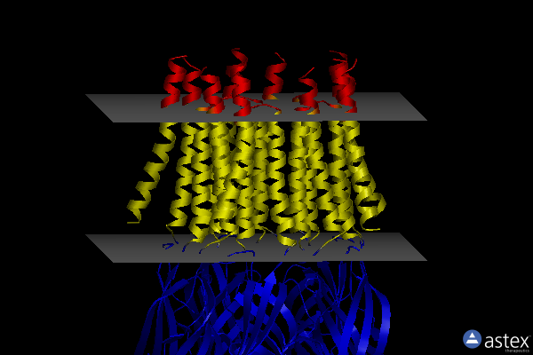 Membrane view of 6fvq