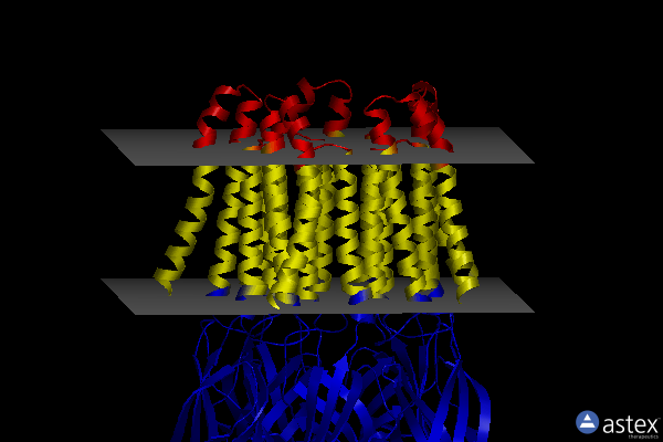 Membrane view of 6fvr