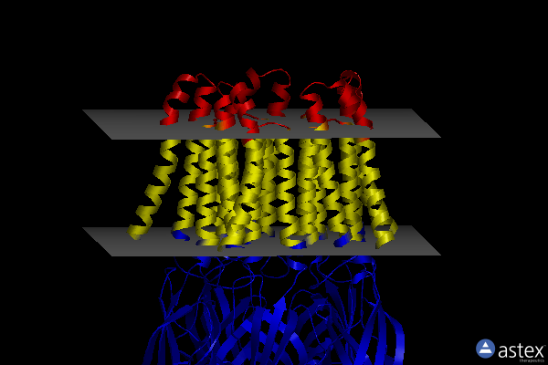 Membrane view of 6fvs