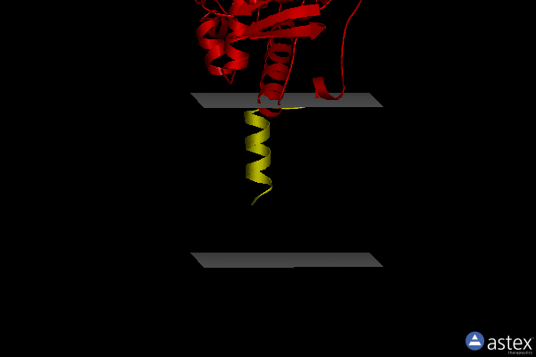 Membrane view of 6fvz