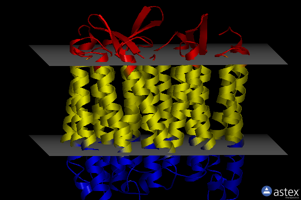 Membrane view of 6ga6