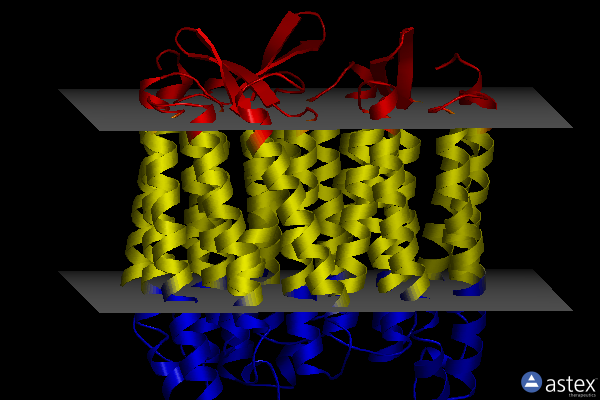 Membrane view of 6gag