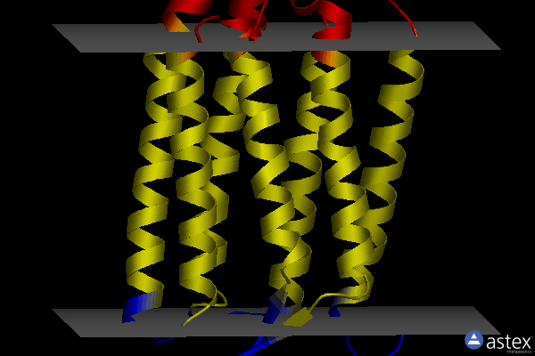 Membrane view of 6guy