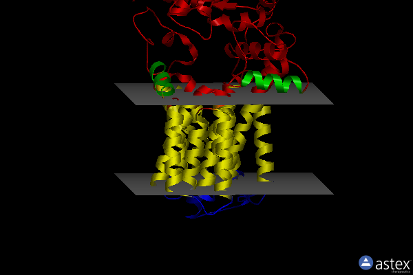 Membrane view of 6gxc