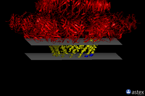 Membrane view of 6gyb